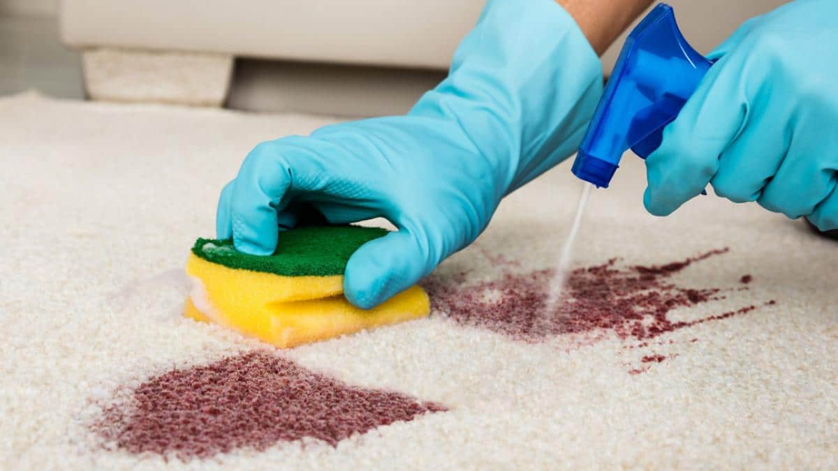 Làm sạch sâu cho tấm thảm của bạn tại nhà