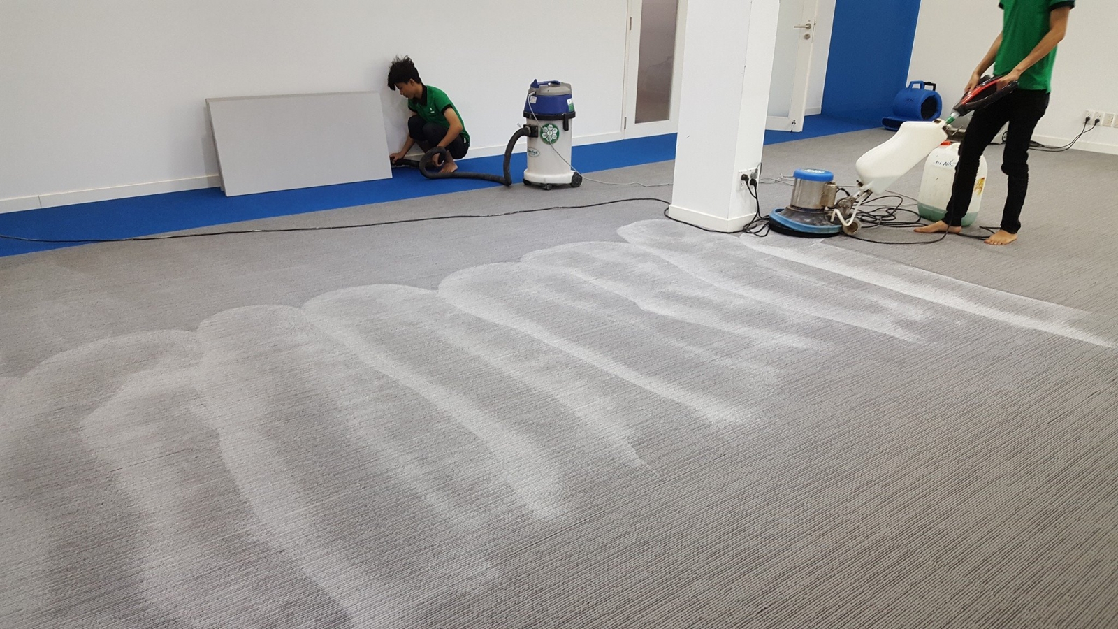 Dịch vụ giặt thảm văn phòng và gia đình Dịch vụ giặt thảm văn phòng và gia đình