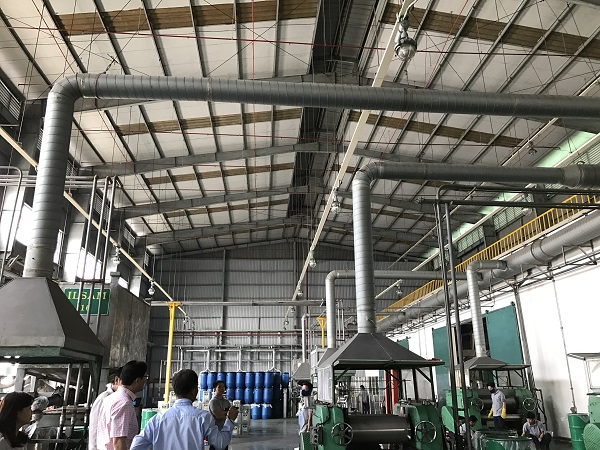 5 lý do nên thuê dịch vụ nhà xưởng thay vì tự làm