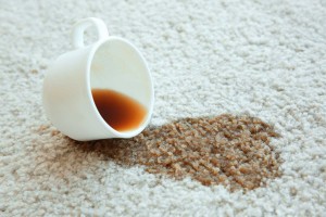 Loại bỏ vết bẩn cà phê khỏi thảm của bạn trong ba bước đơn giản